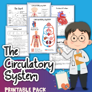 The circulation system printable pack